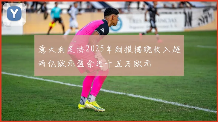 意大利足协2025年财报揭晓收入超两亿欧元盈余近十五万欧元