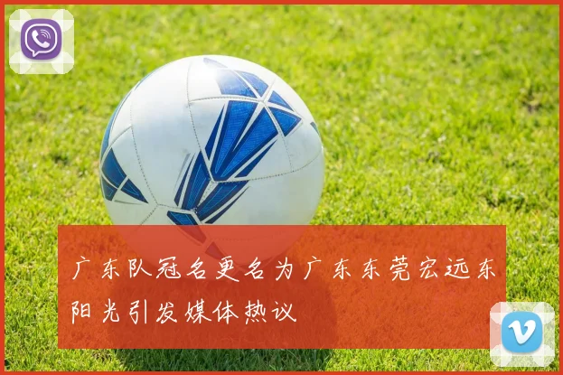 广东队冠名更名为广东东莞宏远东阳光引发媒体热议