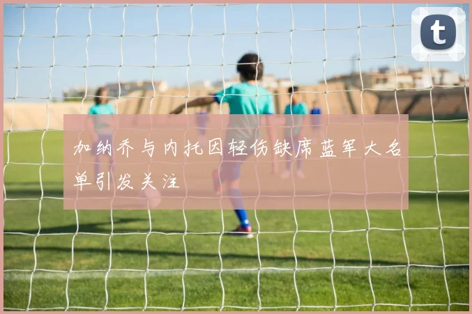 加纳乔与内托因轻伤缺席蓝军大名单引发关注