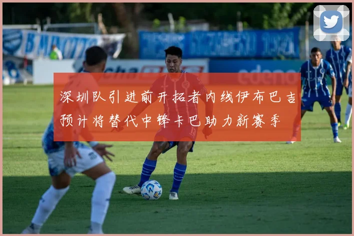 深圳队引进前开拓者内线伊布巴吉预计将替代中锋卡巴助力新赛季